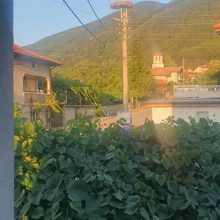 Apartman ози Ovcsarci