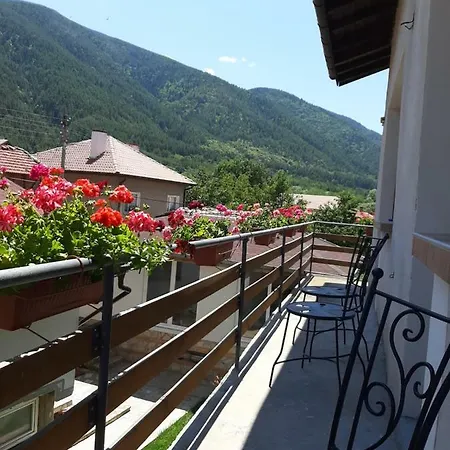 ози アパート *