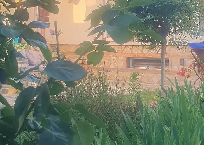 ози * Ovchartsi (Kyustendil)